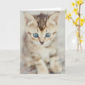 Blauer mit Augen Kitty Karte (Gelbe Blume)