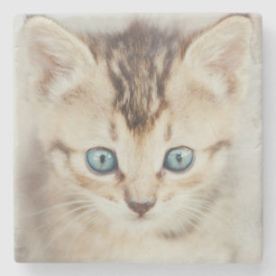 Blauer mit Augen Kitty Steinuntersetzer