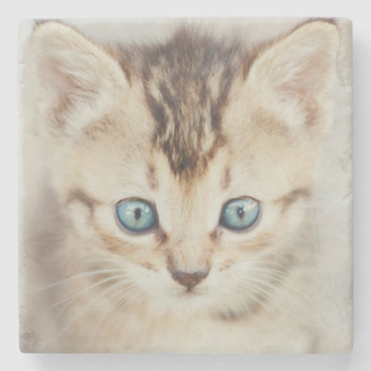 Blauer mit Augen Kitty Steinuntersetzer (Vorderseite)
