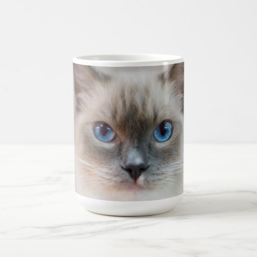 Blauer Mit Augen Ragdoll Kaffeetasse (Mittel)