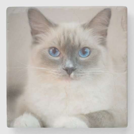 Blauer Mit Augen Ragdoll Steinuntersetzer (Vorderseite)