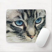 Blauer Mit Augen Tabby Katze Nah-up Mousepad (Mit Mouse)