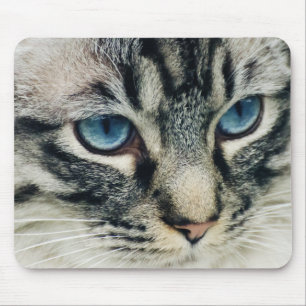 Blauer Mit Augen Tabby Katze Nah-up Mousepad