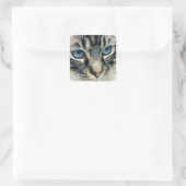 Blauer Mit Augen Tabby Katze Nah-up Quadratischer Aufkleber (Tasche)