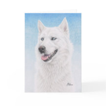 Blauer mit Augen weißer sibirischer Schlittenhund