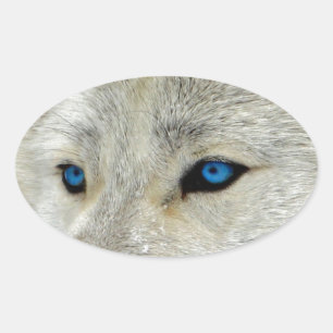 Blauer mit Augen weißer Wolf Ovaler Aufkleber