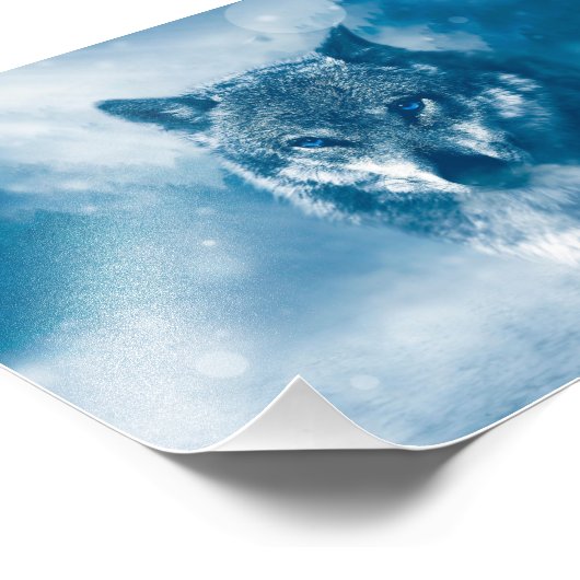 Blauer mit Augen Wolf Fotodruck (Ecke)