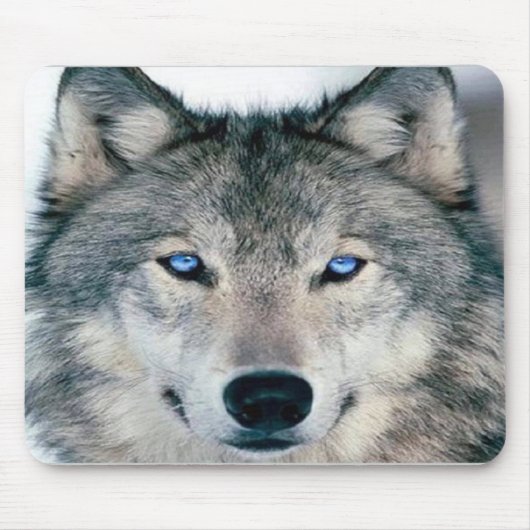 Blauer mit Augen Wolf Mousepad (Vorne)