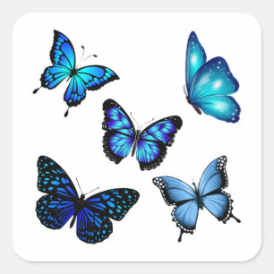 Blauer Monarch Butterfly Quadratischer Aufkleber