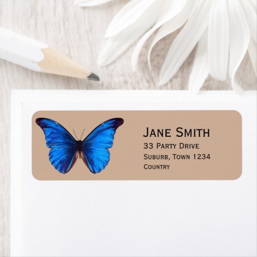 Blauer Monarchfalter (Insitu)