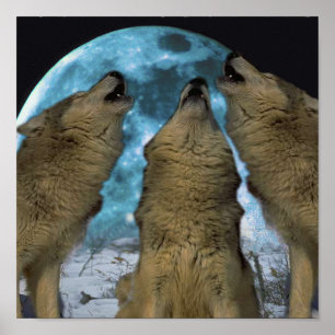 BLAUER MOND-WÖLFE, DIE LEINWAND-DRUCK HEULEN POSTER