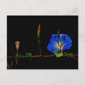 Blauer Morgenglanz Postkarte (Vorderseite)