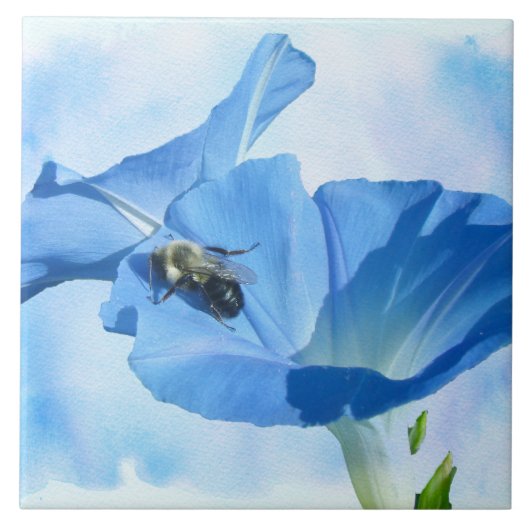 Blauer Morgenruhm und Hummeln Fliese (Vorderseite)