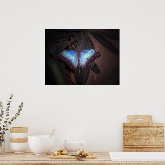 Blauer Morpho Butterfly Poster (Küche)