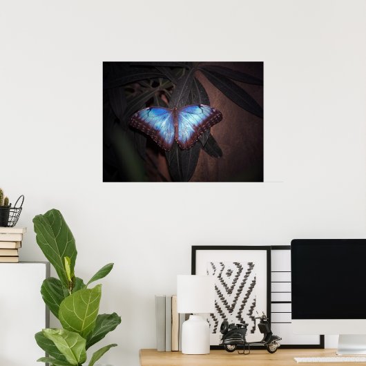 Blauer Morpho Butterfly Poster (Heimbüro)