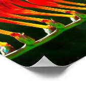 Blauer Morpho-Schmetterling auf Crocosmia Lucifer- Poster (Ecke)