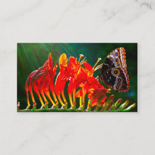 Blauer Morpho-Schmetterling auf Crocosmia Visitenk Visitenkarte