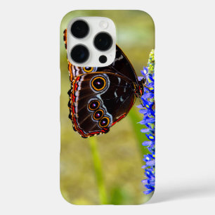 Blauer Morpho-Schmetterling auf einer Sumpforchide iPhone 16 Pro Hülle