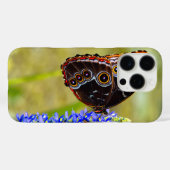 Blauer Morpho-Schmetterling auf einer Sumpforchide Case-Mate iPhone Hülle (Rückseite (Horizontal))