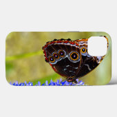 Blauer Morpho-Schmetterling auf einer Sumpforchide Case-Mate iPhone Hülle (Rückseite (Horizontal))