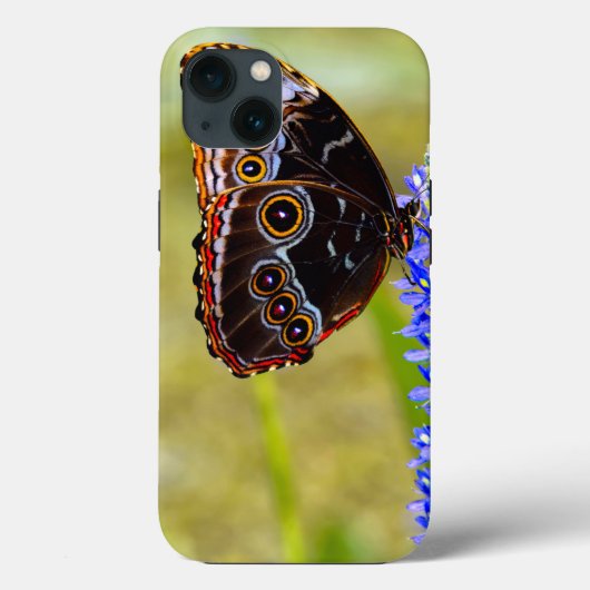 Blauer Morpho-Schmetterling auf einer Sumpforchide Case-Mate iPhone Hülle (Rückseite)