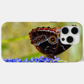 Blauer Morpho-Schmetterling auf einer Sumpforchide Case-Mate iPhone Hülle (Rückseite (Horizontal))