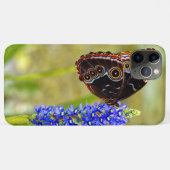 Blauer Morpho-Schmetterling auf einer Sumpforchide Case-Mate iPhone Hülle (Rückseite (Horizontal))