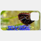 Blauer Morpho-Schmetterling auf einer Sumpforchide Case-Mate iPhone Hülle (Rückseite (Horizontal))