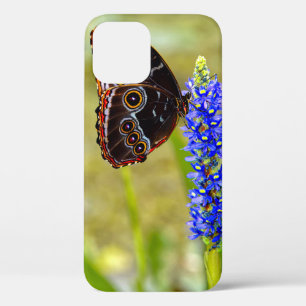 Blauer Morpho-Schmetterling auf einer Sumpforchide Case-Mate iPhone Hülle