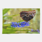 Blauer Morpho-Schmetterling auf einer Sumpforchide Geschirrtuch (Horizontal)