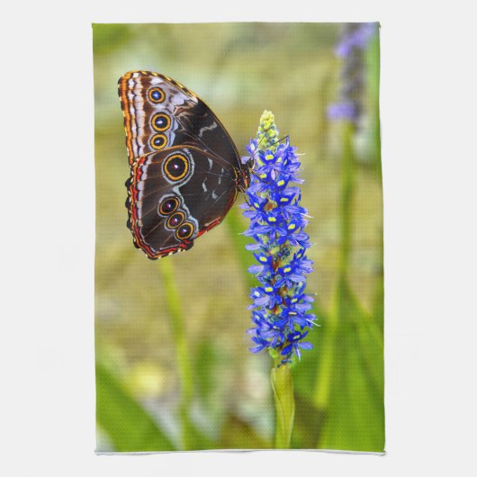 Blauer Morpho-Schmetterling auf einer Sumpforchide Geschirrtuch (Vertikal)