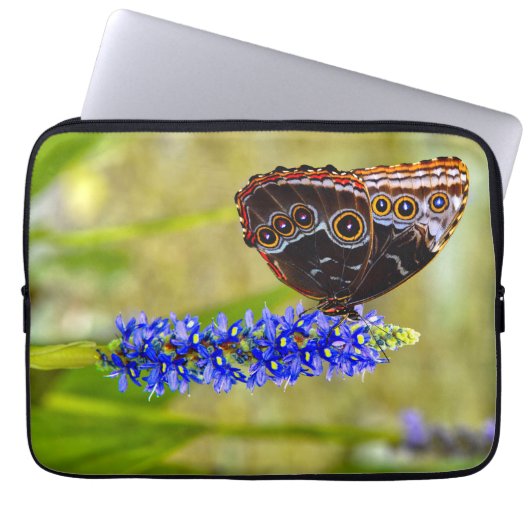 Blauer Morpho-Schmetterling auf einer Sumpforchide Laptopschutzhülle (Vorderseite)