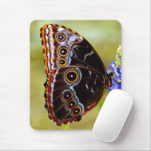 Blauer Morpho-Schmetterling auf einer Sumpforchide Mousepad (Mit Mouse)