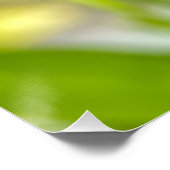 Blauer Morpho-Schmetterling auf einer Sumpforchide Poster (Ecke)