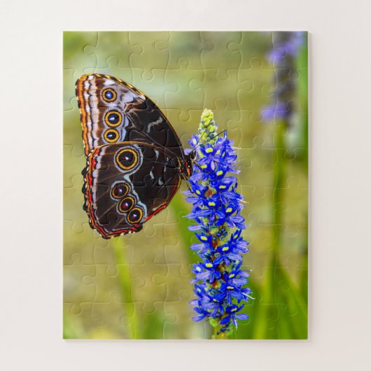 Blauer Morpho-Schmetterling auf einer Sumpforchide Puzzle (Vertikal)