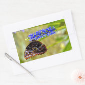 Blauer Morpho-Schmetterling auf einer Sumpforchide Rechteckiger Aufkleber (Umschlag)