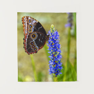 Blauer Morpho-Schmetterling auf einer Sumpforchide Wandteppich