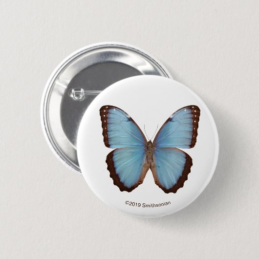 Blauer Morpho Schmetterling Button (Vorne & Hinten)