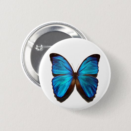 Blauer Morpho Schmetterling Button (Vorne & Hinten)