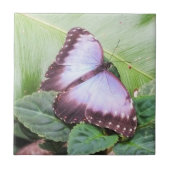 Blauer Morpho-Schmetterling Fliese (Vorderseite)