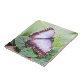 Blauer Morpho-Schmetterling Fliese (Seite)