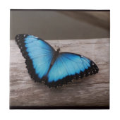 Blauer Morpho Schmetterling Fliese (Vorderseite)