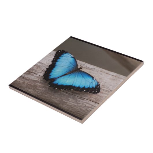 Blauer Morpho Schmetterling Fliese (Seite)