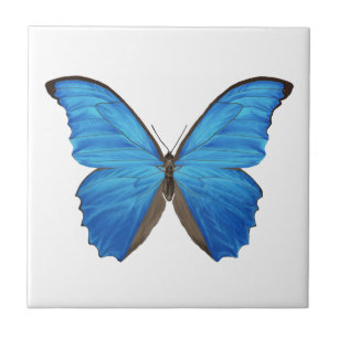 Blauer Morpho Schmetterling Fliese