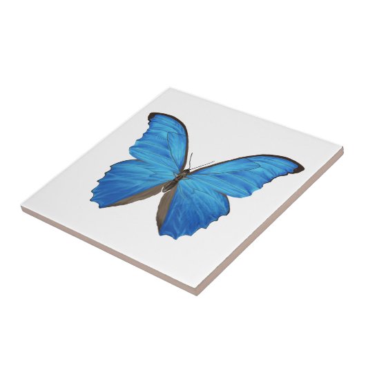 Blauer Morpho Schmetterling Fliese (Seite)