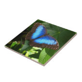 Blauer Morpho-Schmetterling Fliese (Seite)