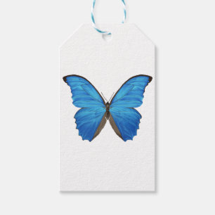 Blauer Morpho Schmetterling Geschenkanhänger