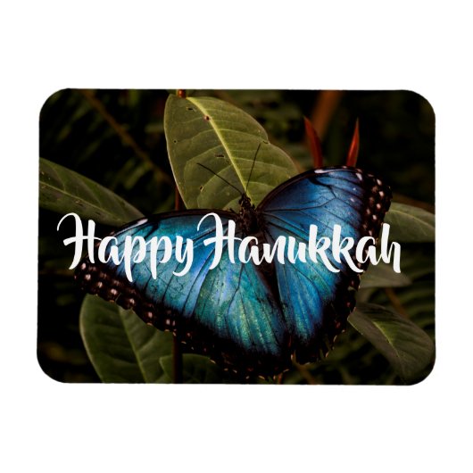 Blauer Morpho-Schmetterling, Happy Hanukkah Magnet (Horizontal)