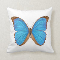 Blauer Morpho Schmetterling