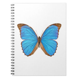 Blauer Morpho Schmetterling (Menelaus blaues Notizblock